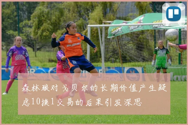 森林狼对戈贝尔的长期价值产生疑虑10换1交易的后果引发深思