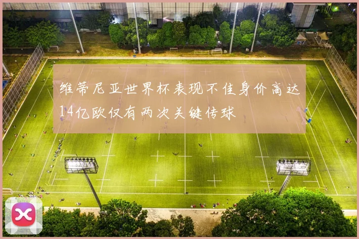 维蒂尼亚世界杯表现不佳身价高达14亿欧仅有两次关键传球