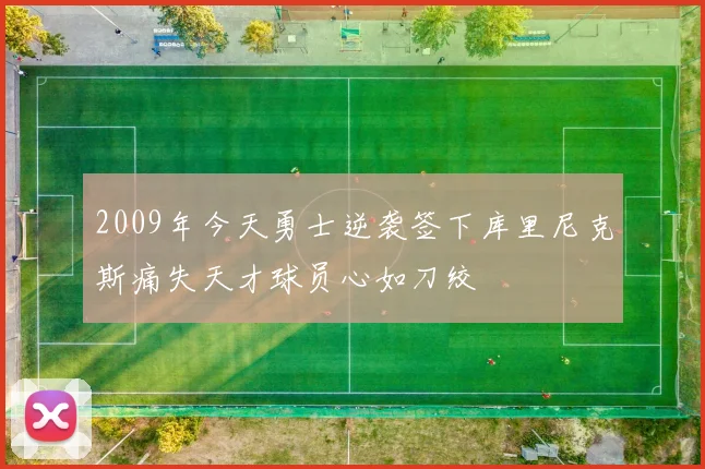 2009年今天勇士逆袭签下库里尼克斯痛失天才球员心如刀绞